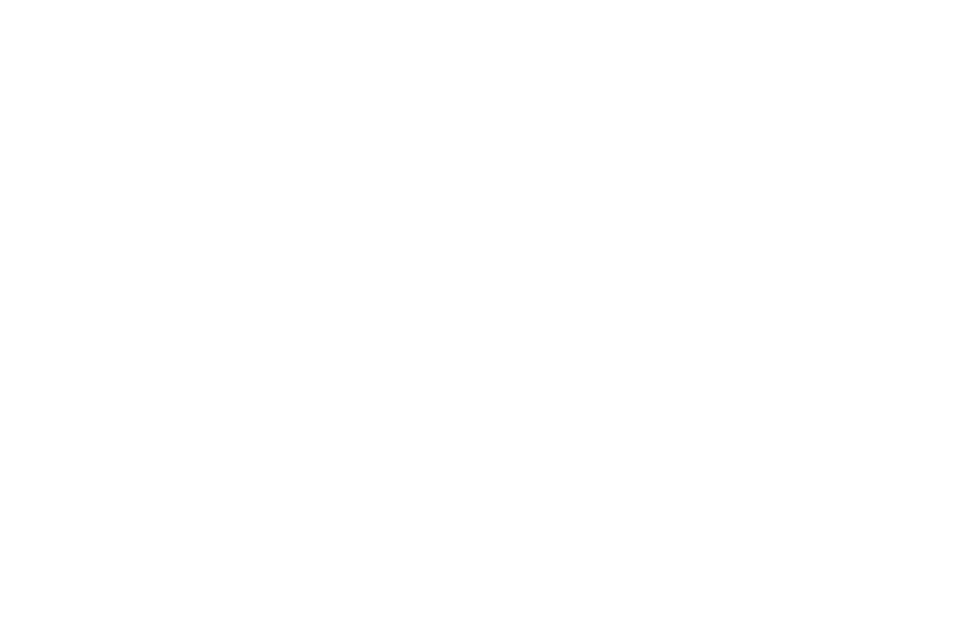 BlackSword Technologies